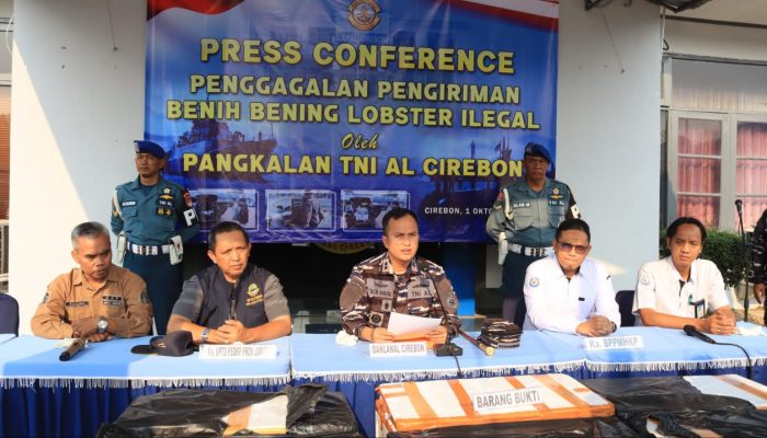 TNI AL Gagalkan Penyelundupan 75.435 Ekor Benih Bening Lobster Senilai Miliaran Rupiah