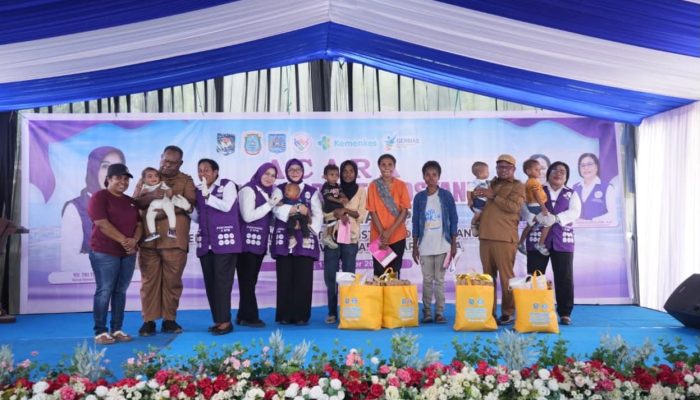 Perkuat Peran Posyandu pada Enam Bidang SPM, TP Posyandu Pusat Beri Asistensi di Sorong